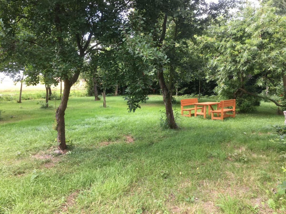 Holtgast Marijanas Ferienhof 2, Urlaub Mit Viel Platz Zwischen Dornumersiel Und Bensersiel, Gehoert Zum Cafe Kunterbunt מראה חיצוני תמונה